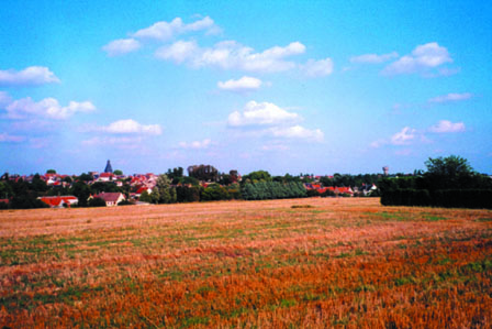Dun-sur-Auron, vue des champs